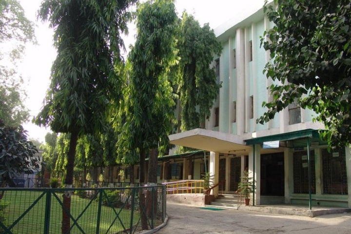 https://cache.careers360.mobi/media/colleges/social-media/media-gallery/16489/2019/5/15/Campus-View of School of Open Learning University of Delhi Delhi_Campus-View.jpg